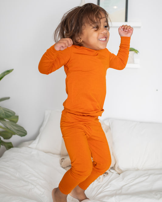 Toddler PJ Set - Fireside